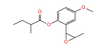4-Methoxy-2-(3-methyl-2-oxiranyl)-phenyl 2-methylbutanoate